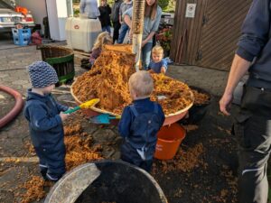 IMG_20241005_163300.jpg_compressed-min