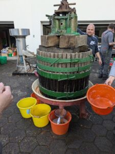 IMG_20241005_165817.jpg_compressed-min