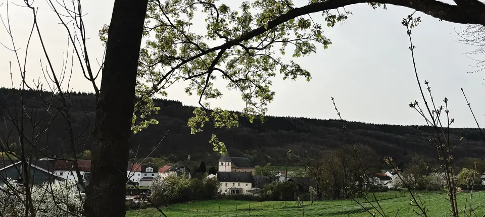niederweis1